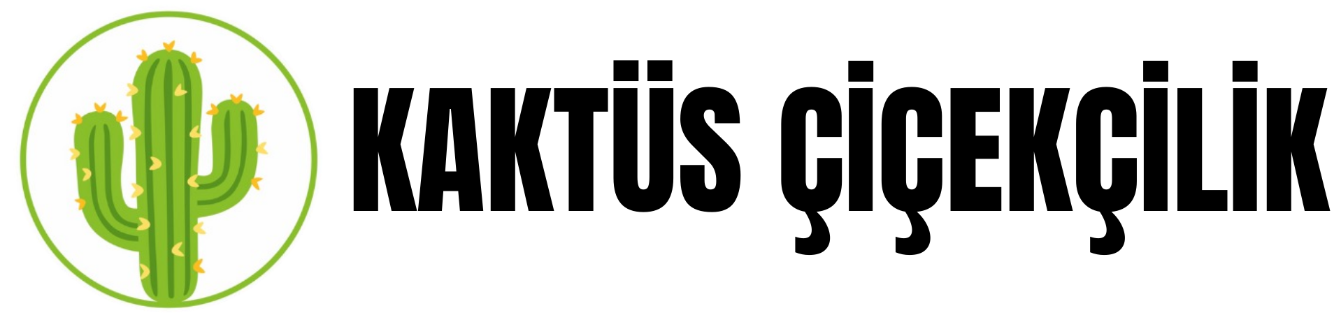 https://www.instagram.com/kaktuscicekcilikbolu